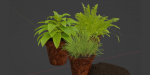 Lowpoly Pot Plants collection vol 228-Blender