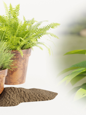 Lowpoly Pot Plants collection vol 228-Blender