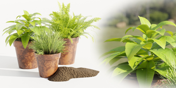 Lowpoly Pot Plants collection vol 228-Blender