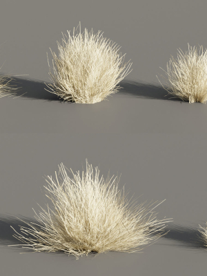 Lowpoly wild dry grass collection vol 160-Blender