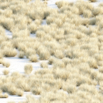 Lowpoly wild dry grass collection vol 160-Blender