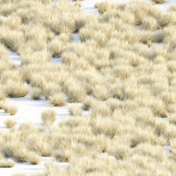 Lowpoly wild dry grass collection vol 160-Blender
