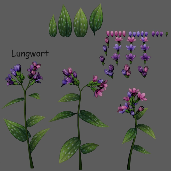 Lungwort stylized plant