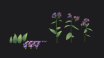 Lungwort stylized plant
