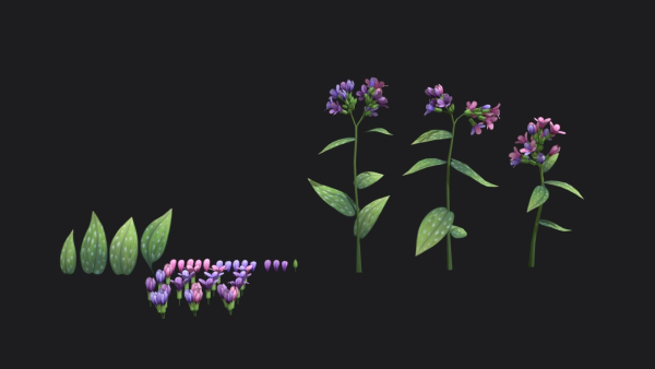 Lungwort stylized plant