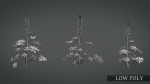 Lupine VFX Grace