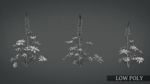 Lupine VFX Grace