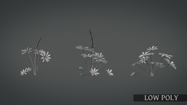 Lupine VFX Grace