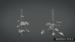 Lupine VFX Grace