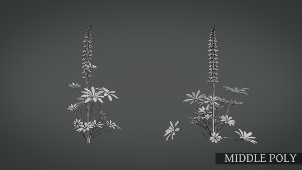 Lupine VFX Grace