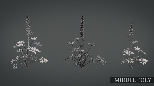 Lupine VFX Grace