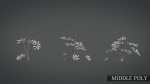 Lupine VFX Grace