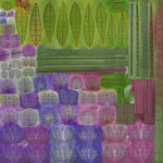Lupine VFX Grace