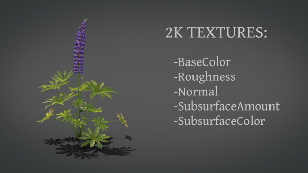 Lupine VFX Grace