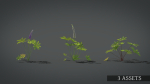Lupine VFX Grace