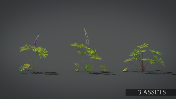 Lupine VFX Grace