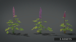 Lupine VFX Grace