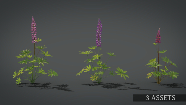 Lupine VFX Grace