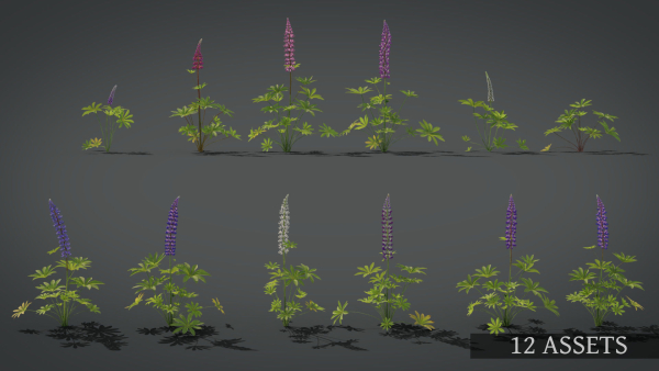 Lupine VFX Grace