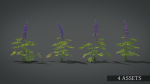 Lupine VFX Grace