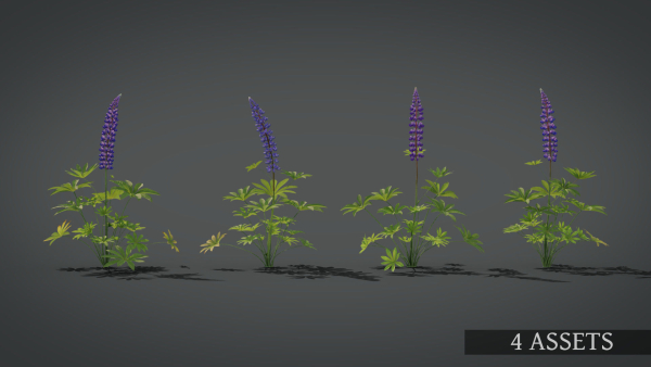 Lupine VFX Grace