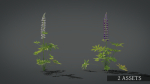 Lupine VFX Grace
