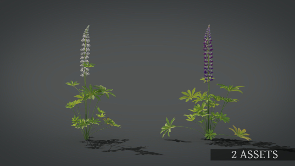 Lupine VFX Grace