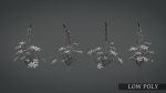 Lupine VFX Grace