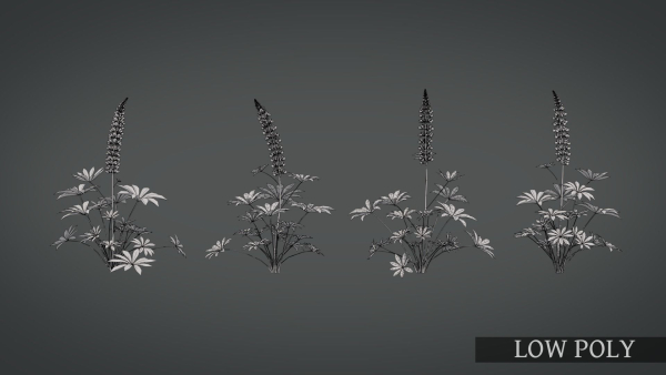 Lupine VFX Grace