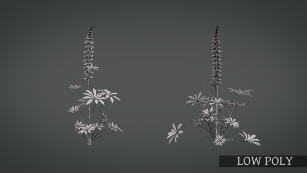 Lupine VFX Grace