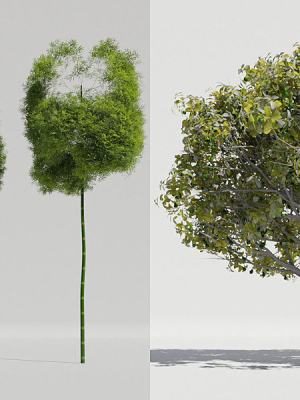 luxcore-tropical-trees-and-vegetation-pack-3d-model-blend