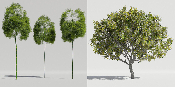 Luxcore Tropical Trees and Vegetation pack