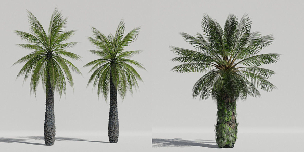 Luxcore Tropical Trees and Vegetation pack