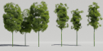 Luxcore Tropical Trees and Vegetation pack