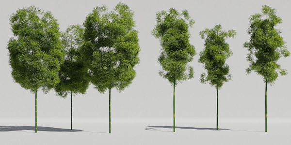 Luxcore Tropical Trees and Vegetation pack