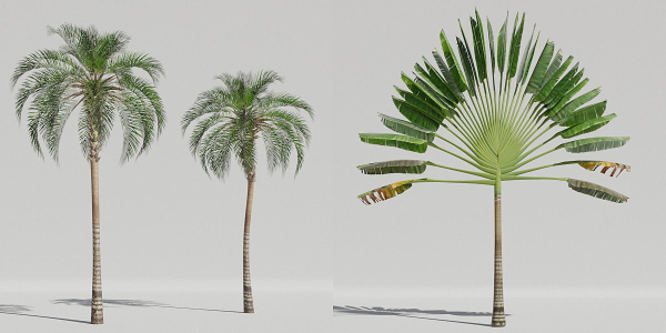 Luxcore Tropical Trees and Vegetation pack