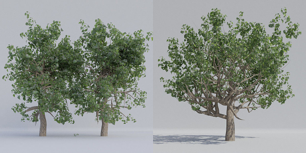 Luxcore Tropical Trees and Vegetation pack