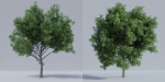 Luxcore Tropical Trees and Vegetation pack