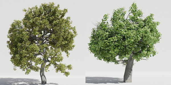 Luxcore Tropical Trees and Vegetation pack