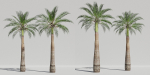 Luxcore Tropical Trees and Vegetation pack