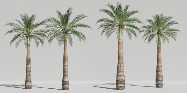 Luxcore Tropical Trees and Vegetation pack