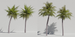 Luxcore Tropical Trees and Vegetation pack