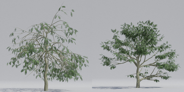 Luxcore Tropical Trees and Vegetation pack