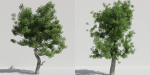 Luxcore Tropical Trees and Vegetation pack