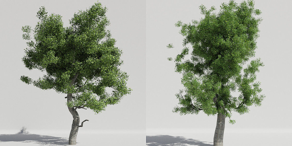 Luxcore Tropical Trees and Vegetation pack