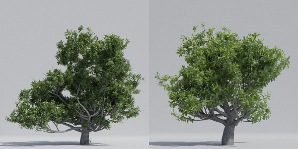 Luxcore Tropical Trees and Vegetation pack