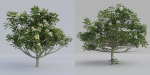 Luxcore Tropical Trees and Vegetation pack