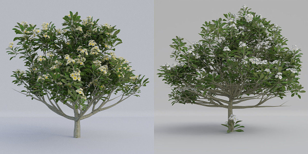 Luxcore Tropical Trees and Vegetation pack