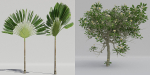 Luxcore Tropical Trees and Vegetation pack
