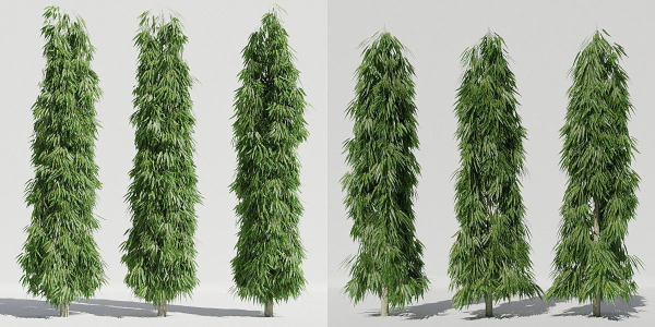 Luxcore Tropical Trees and Vegetation pack